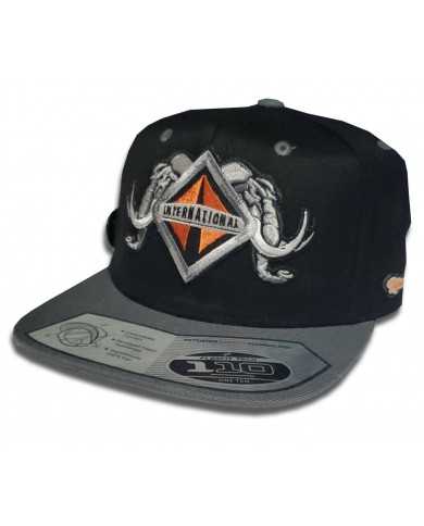 TCS-GORRA GREY/BLACK PARCHE BORDADO INT58 TCS-GORRA GREY/BLACK PARCHE BORDADO INT58