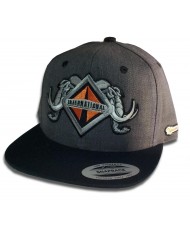 TCS-GORRA DE PARCHE PLANCHADO GRIS OSCURO -INT57