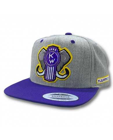 TCS-GORRA GRIS/MORADO PARCHE GLITTER PURPLE KW TCS-GORRA GRIS/MORADO PARCHE GLITTER PURPLE KW