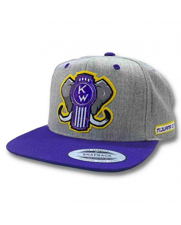 TCS-GORRA GRIS/MORADO PARCHE GLITTER PURPLE KW
