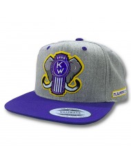 TCS - GORRA DE PARCHE PLANCHADO KENWOR -BWB TCS - GORRA DE PARCHE PLANCHADO KENWOR -BWB
