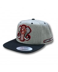 TCS-GORRA GREY/BLACK PARCHE GLITTER PURPLE FREIGHT