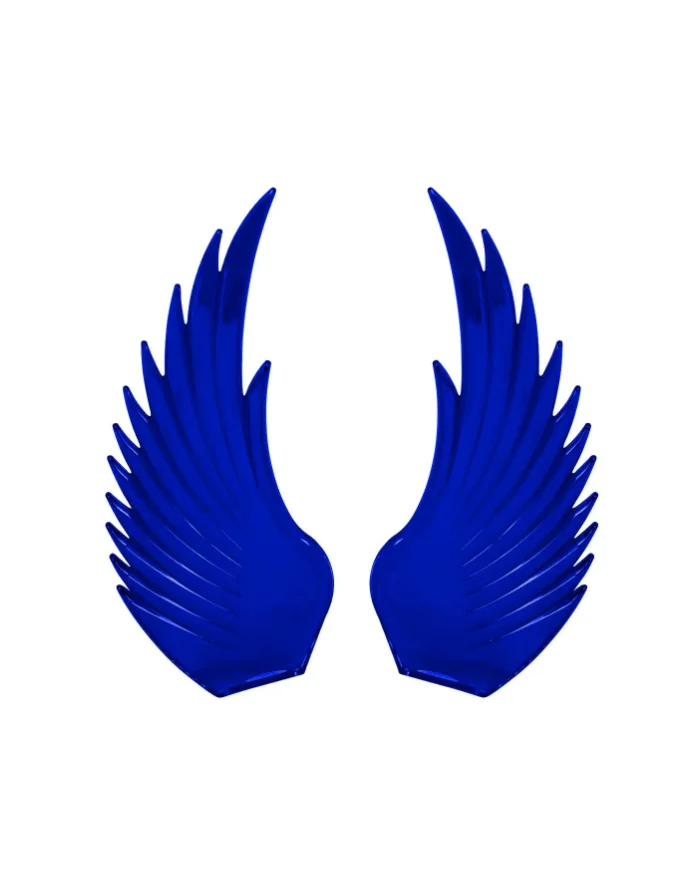 GG48041-BLUE WINDRIDERS NEW STYLE WINGS