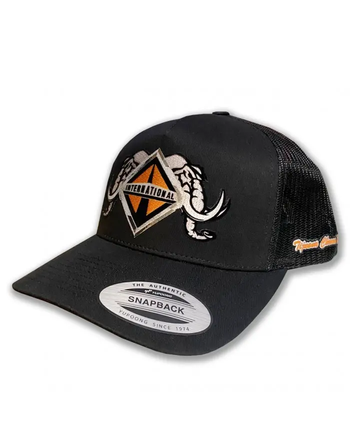 TCS-GORRA BLACK CURVA PARCHE PLANCHADO-INTER128 TCS-GORRA BLACK CURVA PARCHE PLANCHADO-INTER128