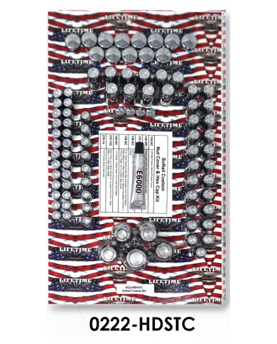 LNC0222-HDSTC-90 Piece - Softail Custom Kit