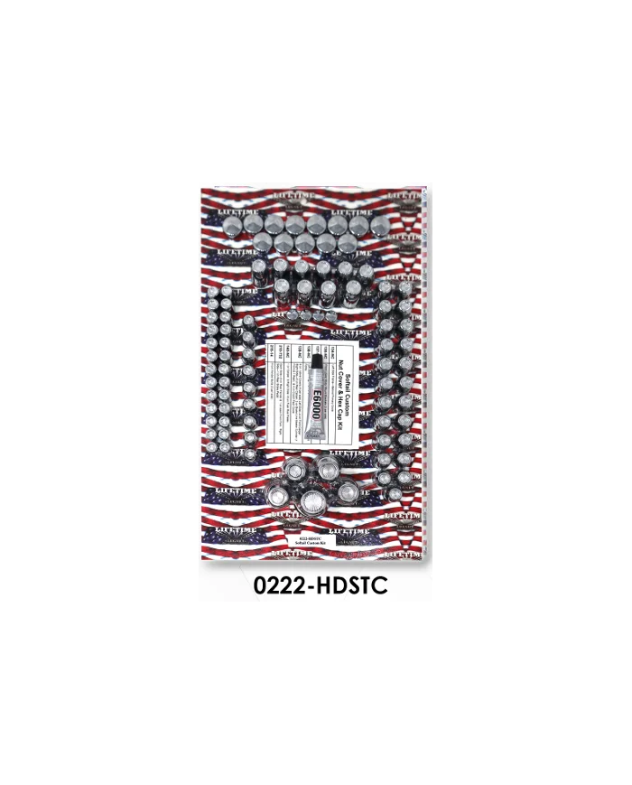 LNC0222-HDSTC-90 Piece - Softail Custom Kit