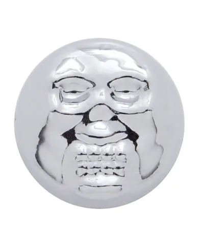 UP70197-Chrome Plastic Skull Snap-On Cap For 1/4" Screws (10-Pack)