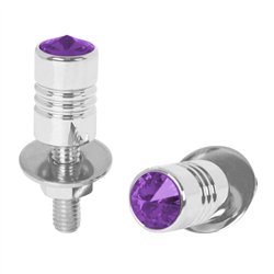 GG50854 - CR. ALUM. LICENSE PLATE BOLT W/PURPLE CRYSTAL
