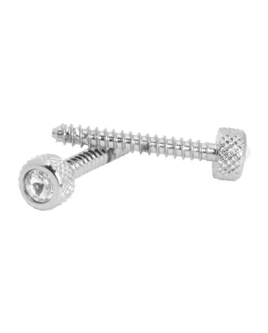 GG67222 - CR. SMALL DASH SCREW W/CLEAR CRYSTAL FOR FREIGHTLINER