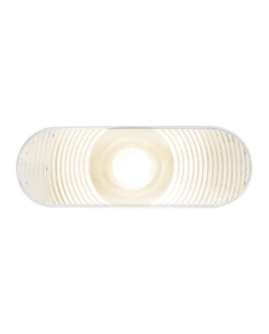 GG79854 - OVAL CLEAR BACK-UP SEALED LIGHT