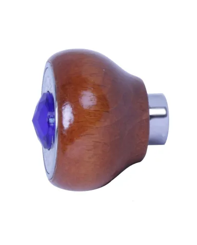 GG95641 - WOOD DASHBOARD KNOB W/BLUE JEWEL & S.S. DIMMER PLATE