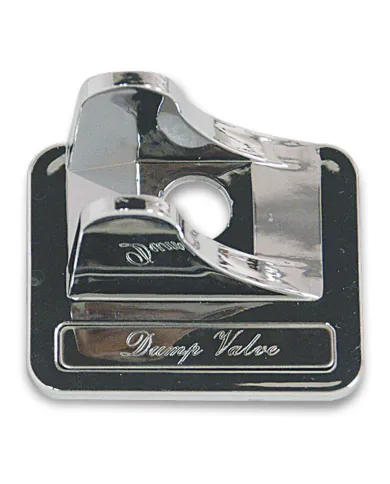 GG96002 - CR. SWITCH GUARD W/SS DUMP VALVE FOR KW 2002 UP