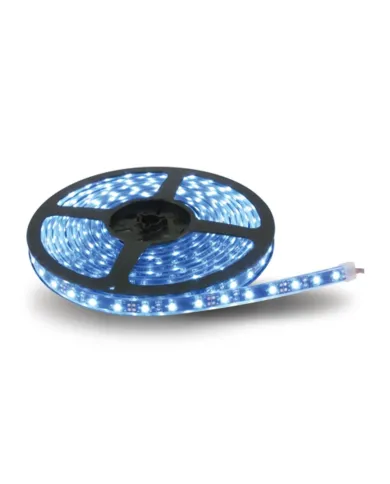 TXTB-F2B - LED Lighting - 16 ft. Flexible LED Roll - Blue