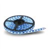 TXTB-F2B - LED Lighting - 16 ft. Flexible LED Roll - Blue