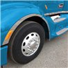TXTFT-PET579 - Peterbilt  - 579 - Fender Trim