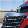 TXTHOD-INLS - International - Lonestar - Hoodshield Bug Deflector