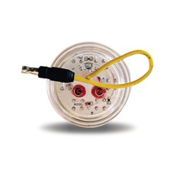 TXTLED-2XAP - 2" Dual Revolution Amber/Purple LED (7 Diodes)