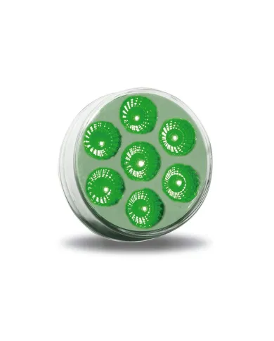 TXTLED-2XRG - 2" Dual Revolution Red/Green LED (7 Diodes)